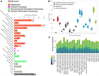 Unraveling the genomic diversity and ecological potential of the genus Demequina: insights from comparative analysis of different saline niche strains